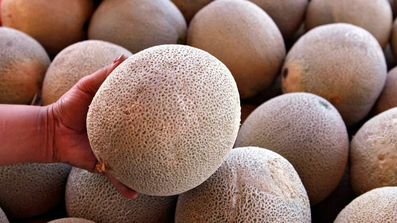 Cantaloupe/Rockmelon