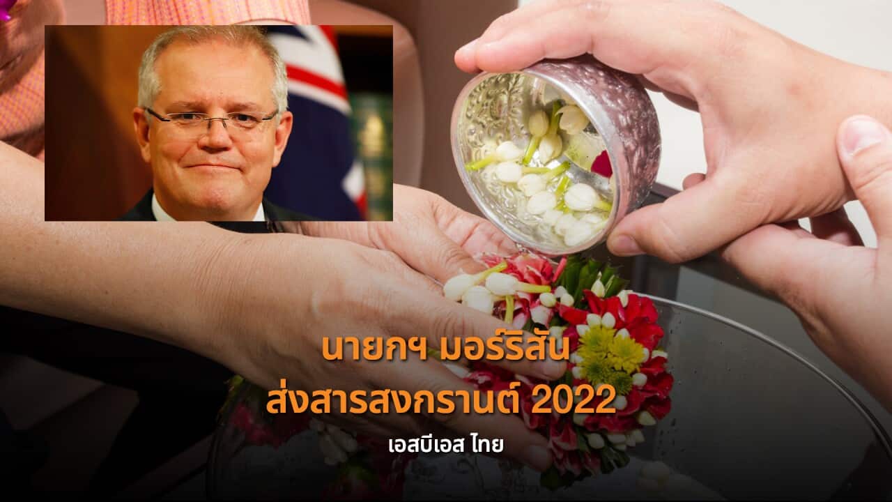 Image for read more article 'เรื่องราวอื่น ๆ ที่น่าสนใจจาก เอสบีเอส ไทย'