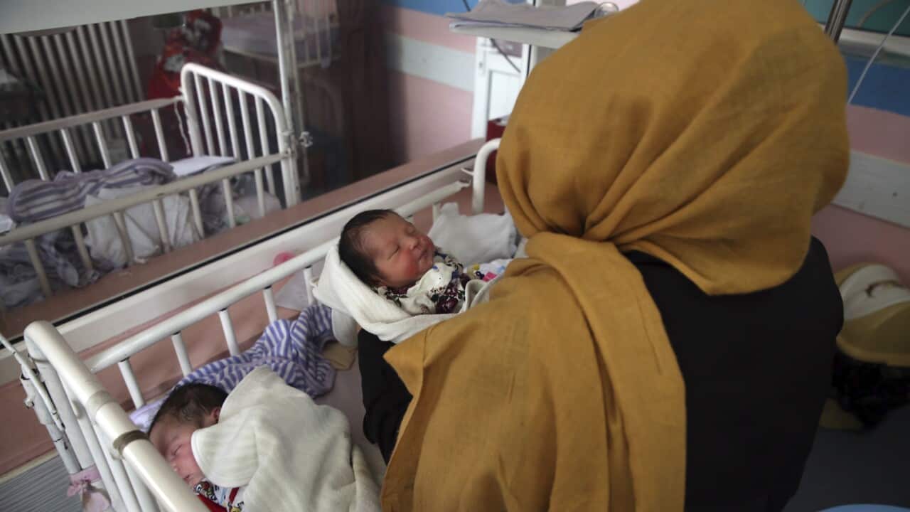 Women volunteer to breastfeed babies whose mothers were killed in