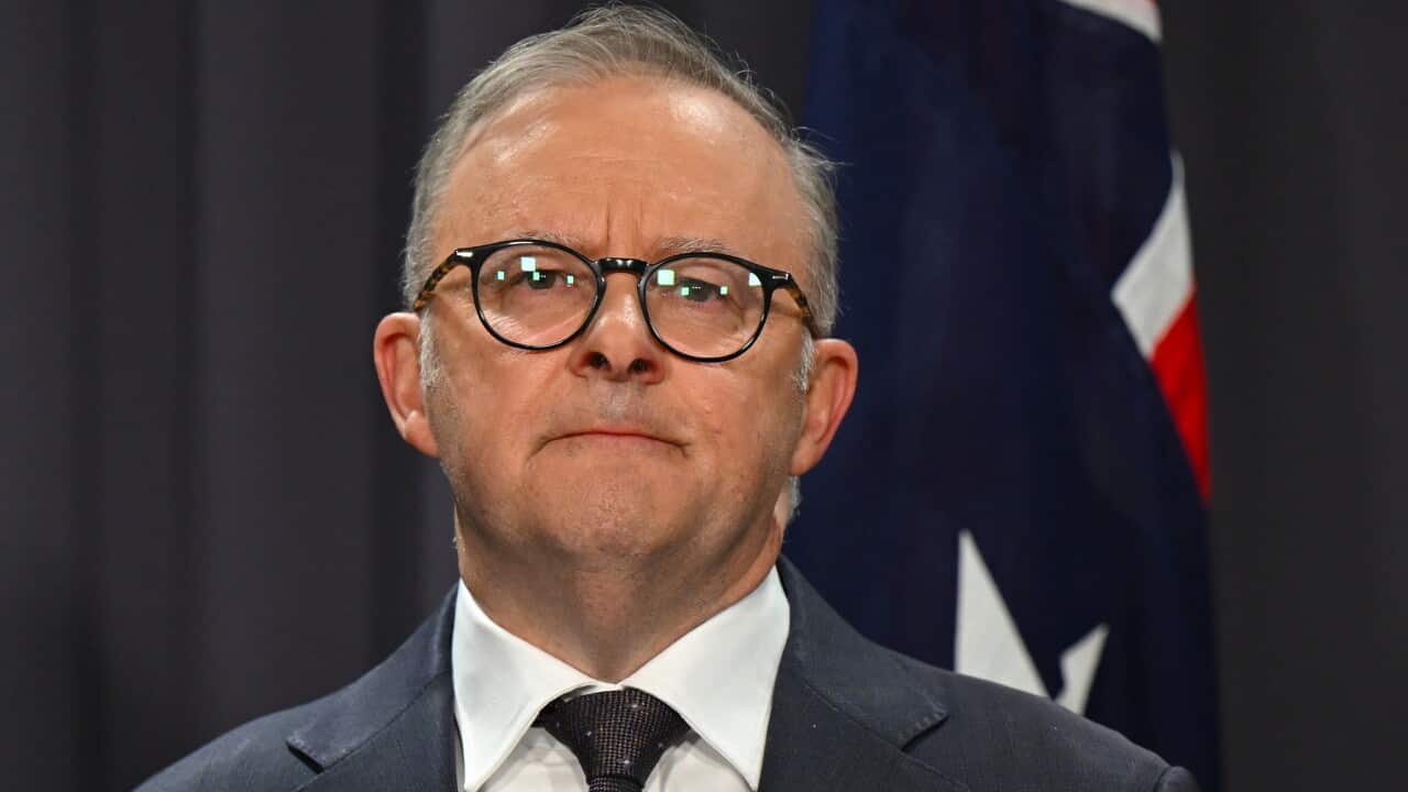 ANTHONY ALBANESE BONDI JUNCTION STABBINGS