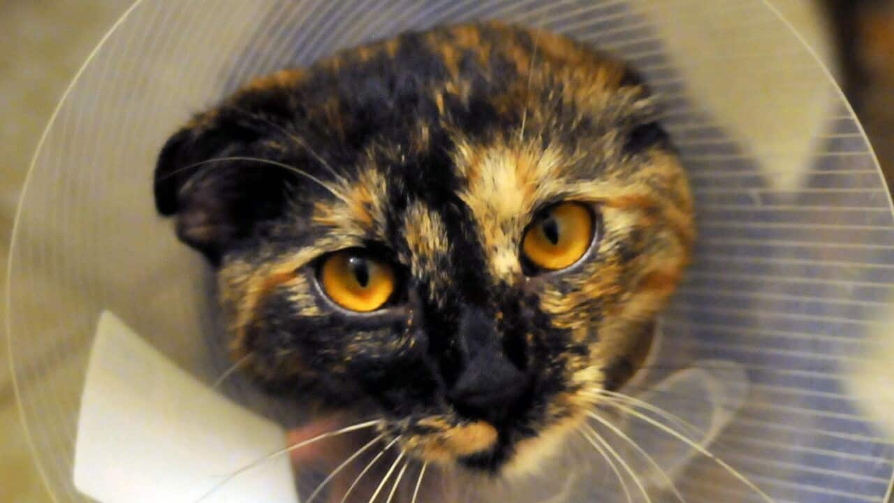 Image for read more article ''