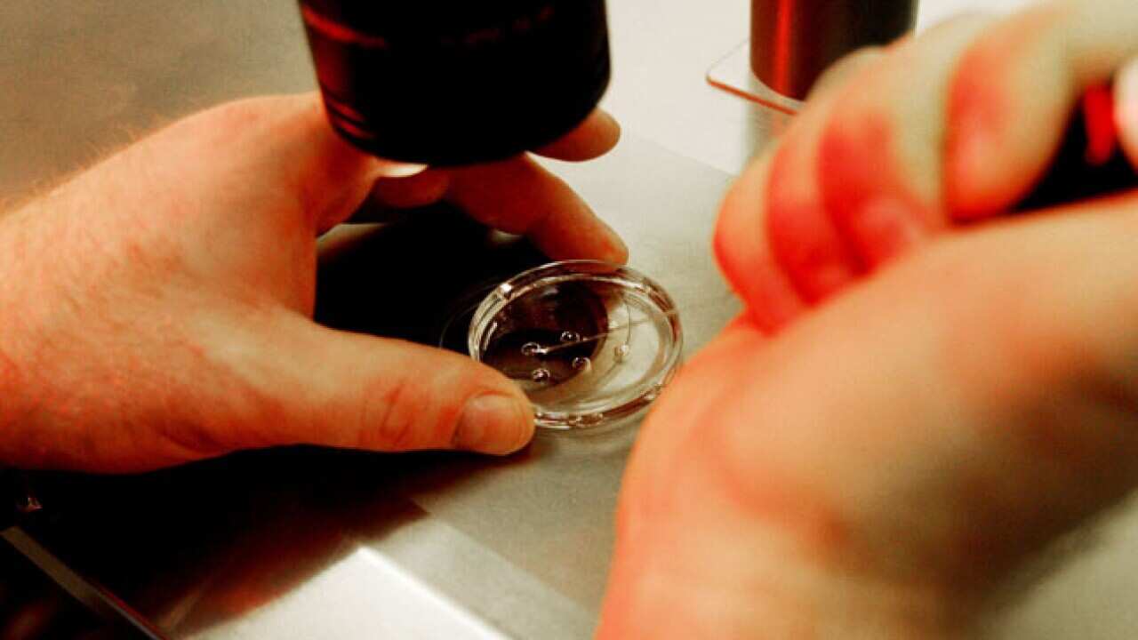 IVF