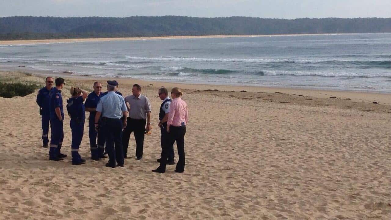 shark_search_bega_news_twitter.jpg