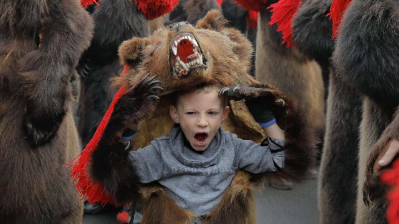 a child wearing a bear fur costume yawns while dancing in Comanesti, Romania.