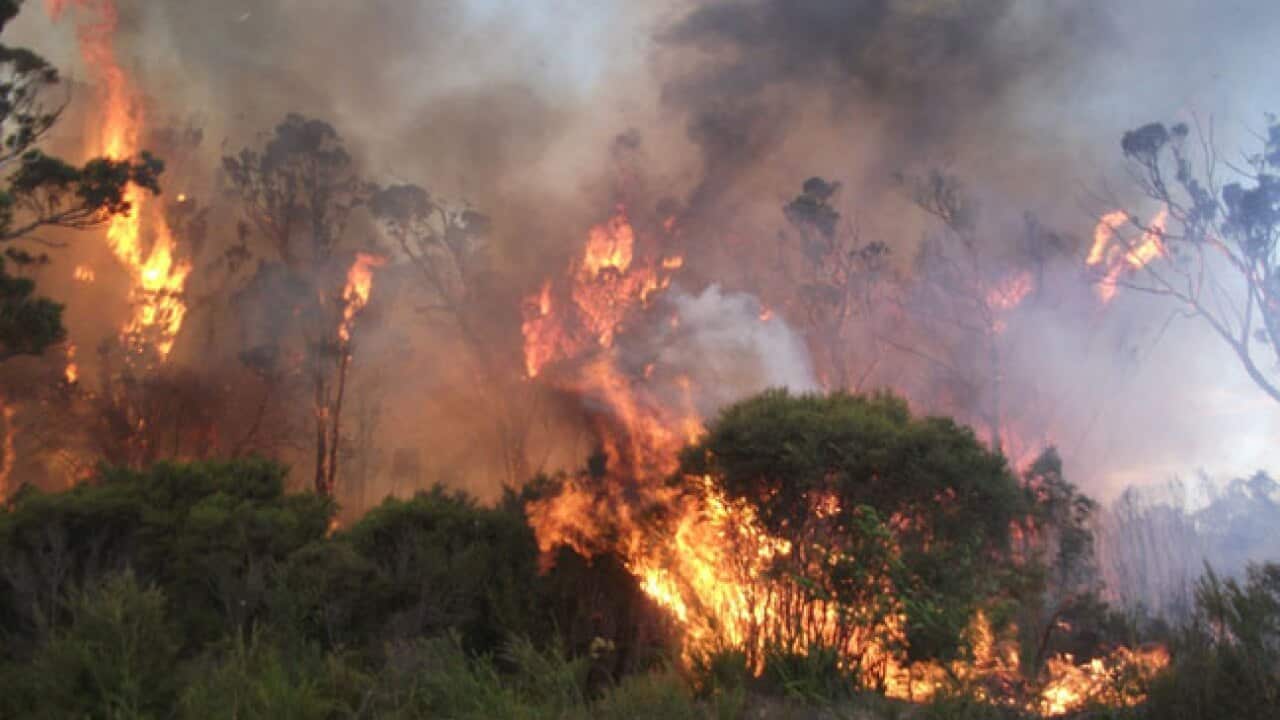 bushfires_121225_L_AAP_738908394