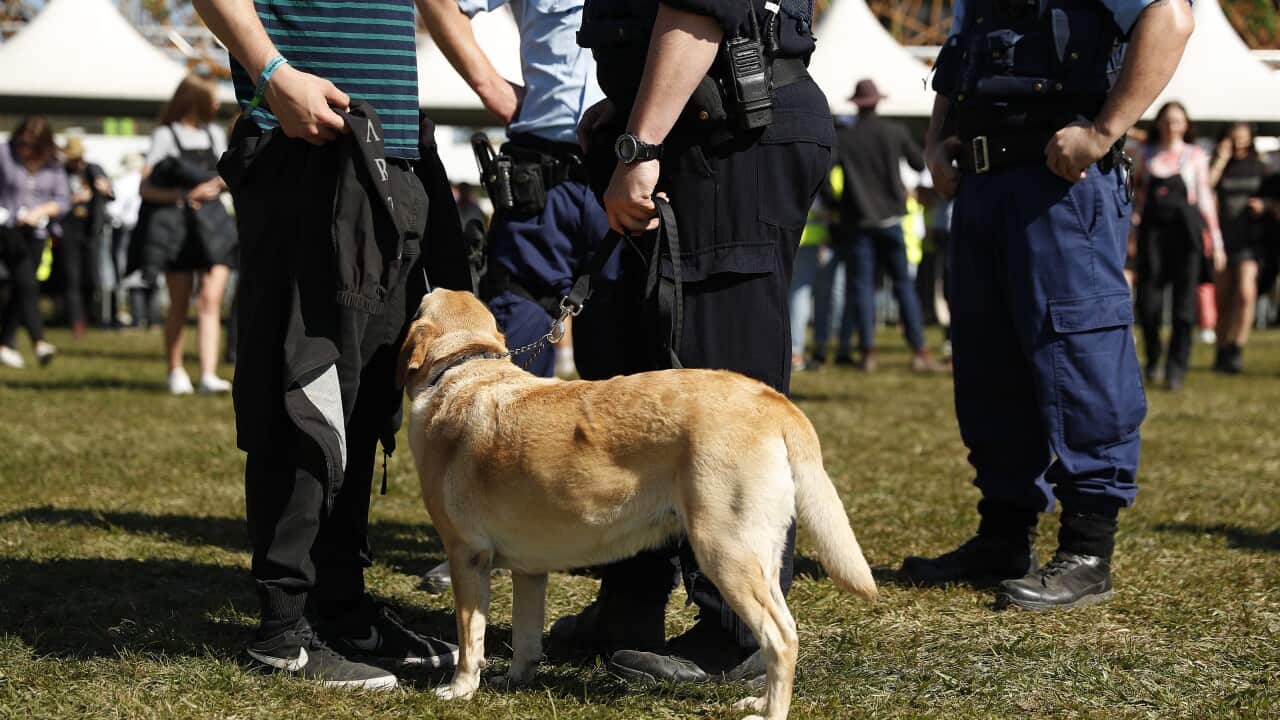 These are your rights when it comes to police strip searches SBS The Feed