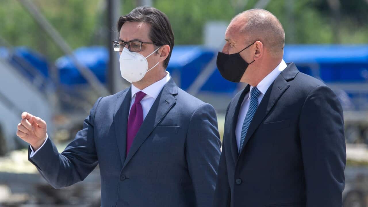 Homeland Report in Macedonian 28 January 2022,