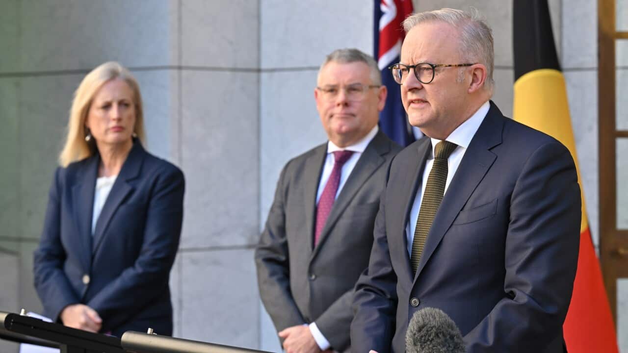 ANTHONY ALBANESE EVIRONMENT LAWS PRESSER