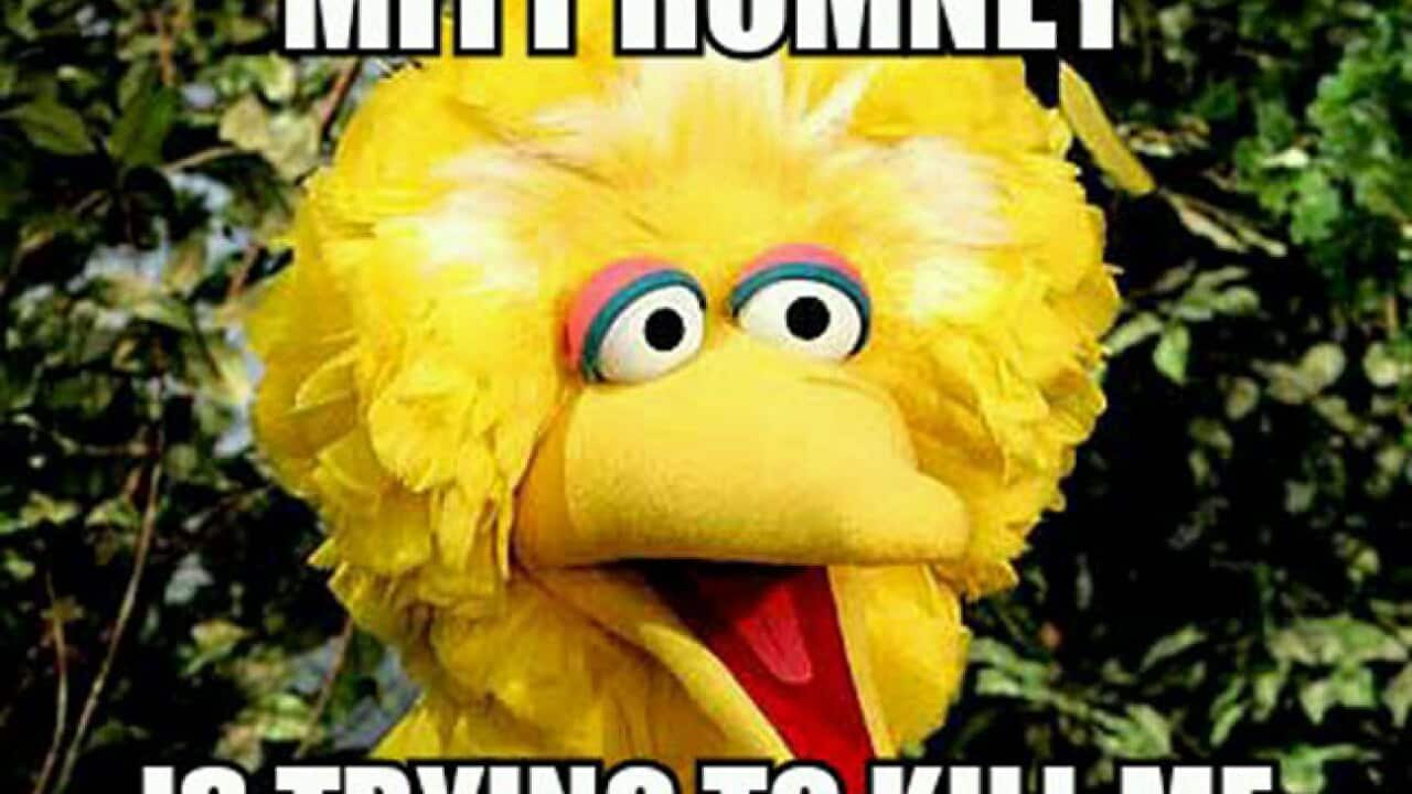 big_bird_247766927
