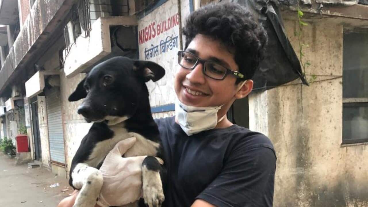 Image for read more article 'READ MORE'