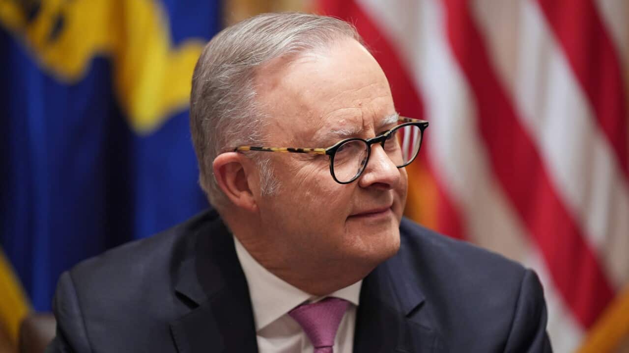 Donald Trump,Anthony Albanese