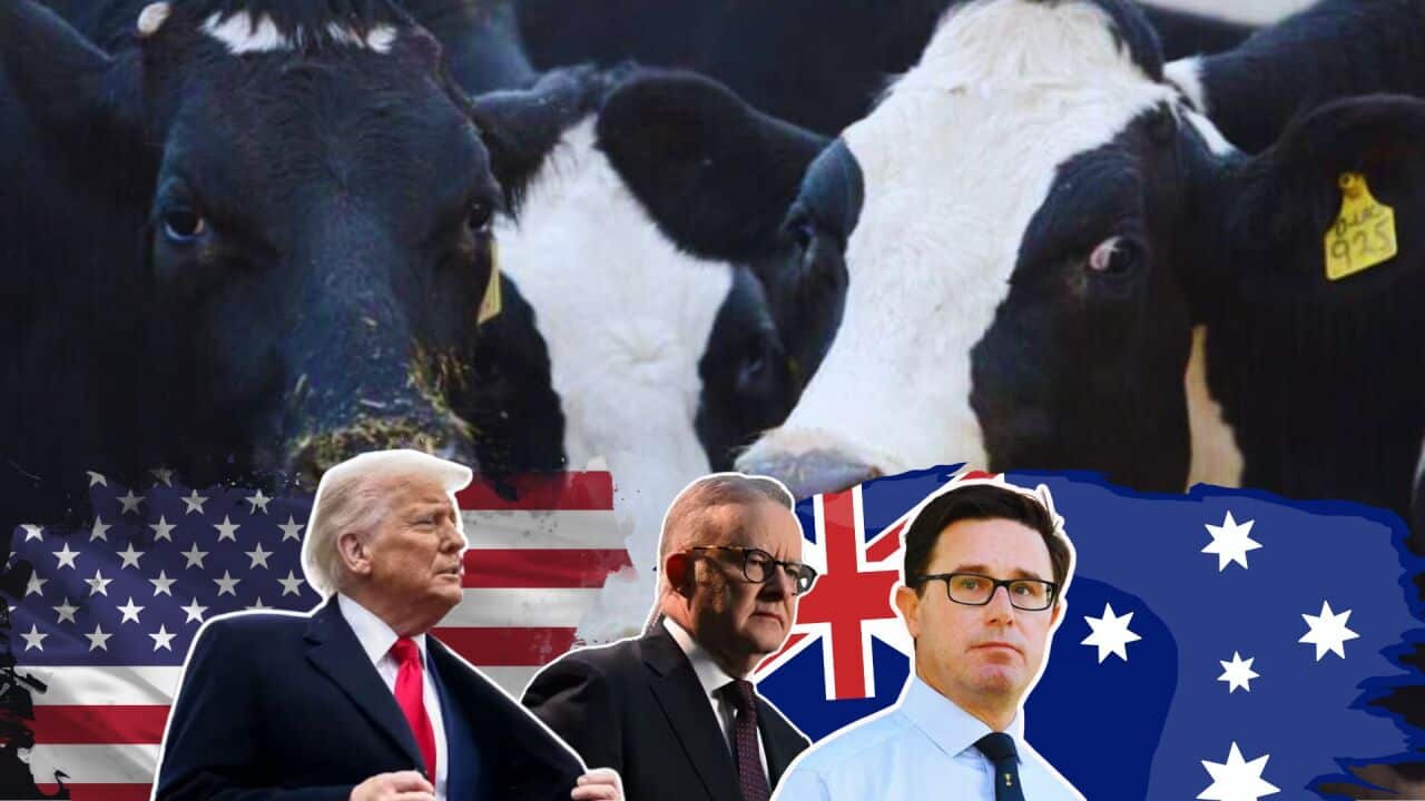 Beef Ban.jpg