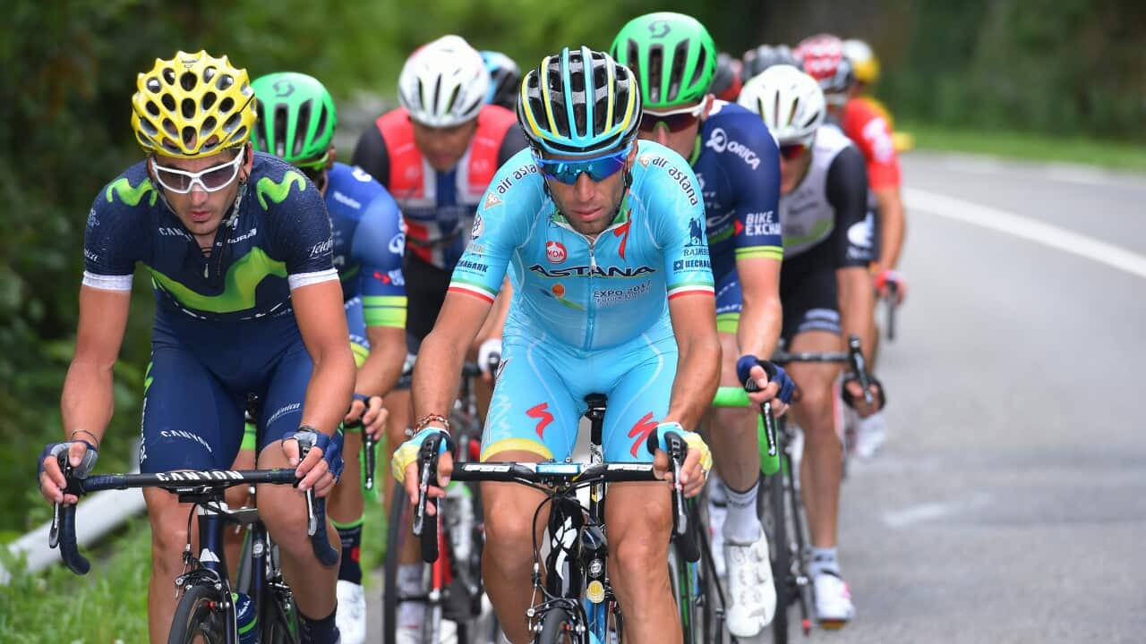 The break on Stage 10 of this year's Tour was a high-powered escape, ultimately won by Michael Matthews Orica-BikeExchange.