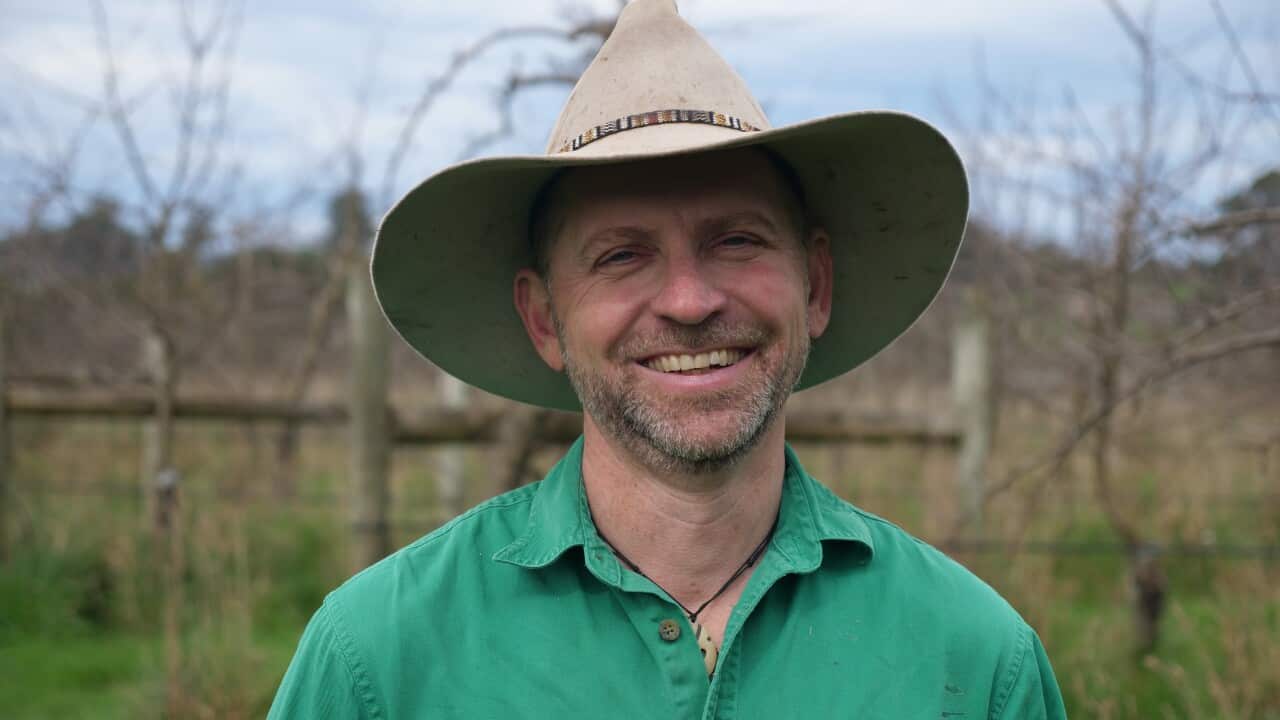 Tasmania is hoping locals will fill the void left by seasonal workers