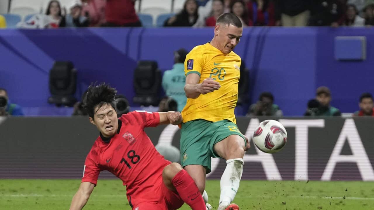 Qatar Australia South Korea Asian Cup Soccer