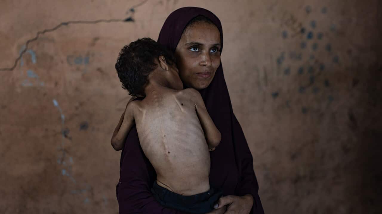 Image for read more article ''