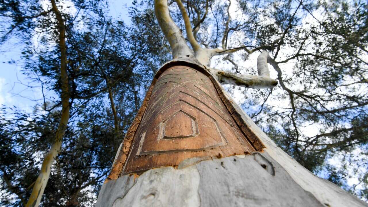 Image for read more article 'READ MORE'