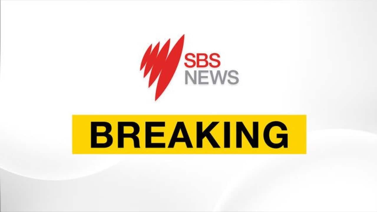 bango la taarifa za habari la SBS