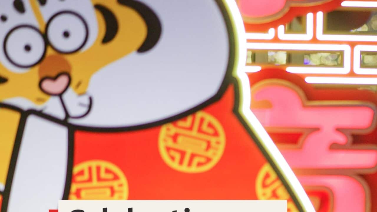 Lunar New Year festivities celebrated across China