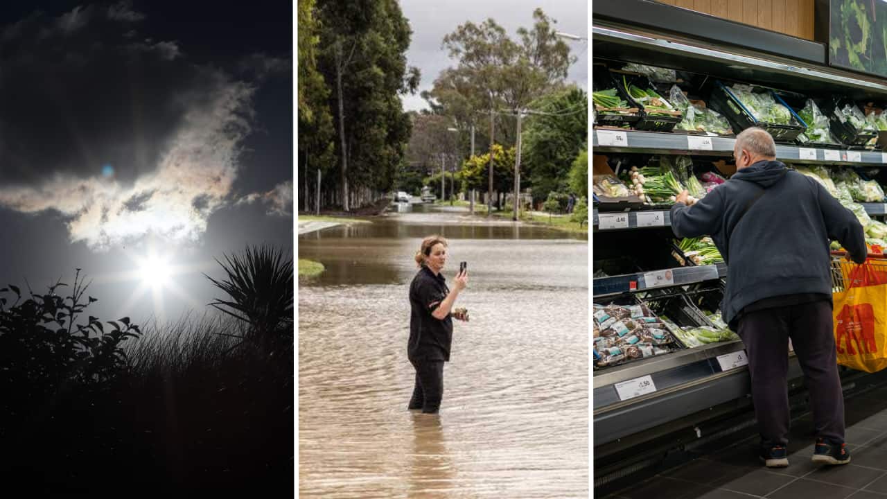 News Article Image Triptych (5).png