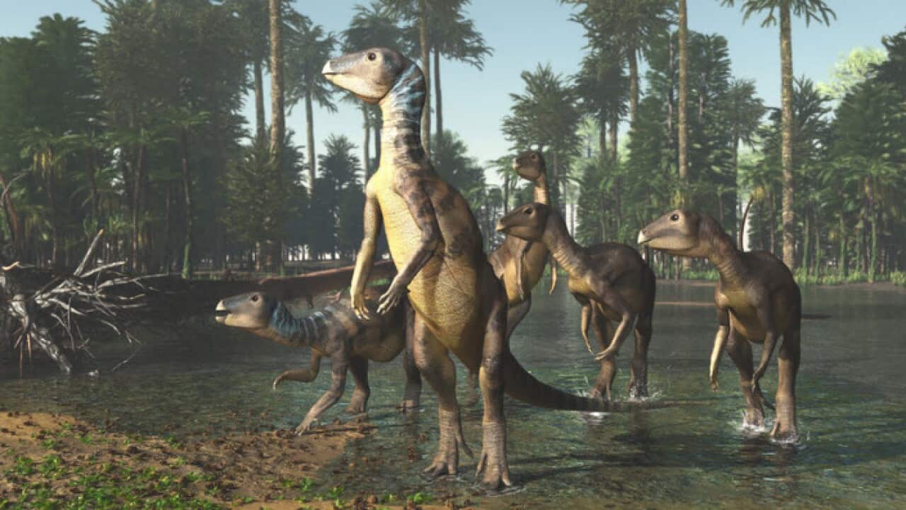 Weewarrasaurus pobeni. Image ©James Kuether