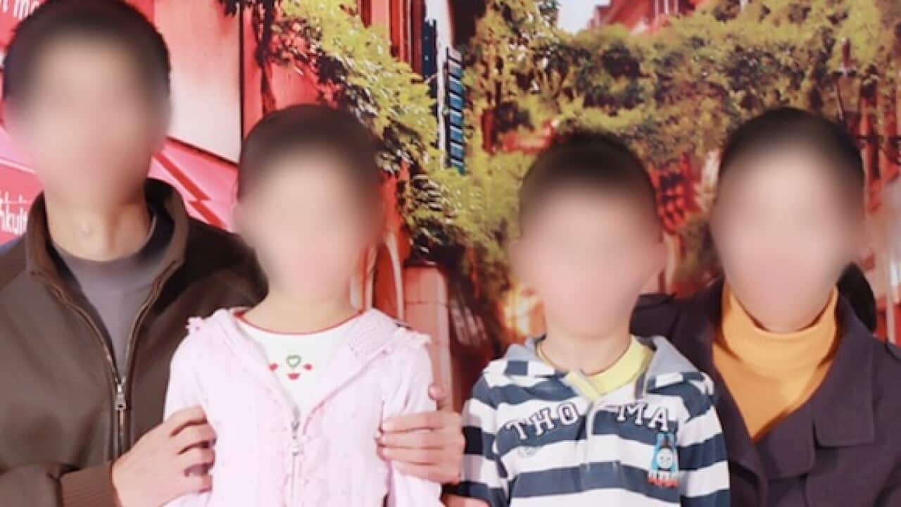 Image for read more article 'More stories on SBS Gujarati'