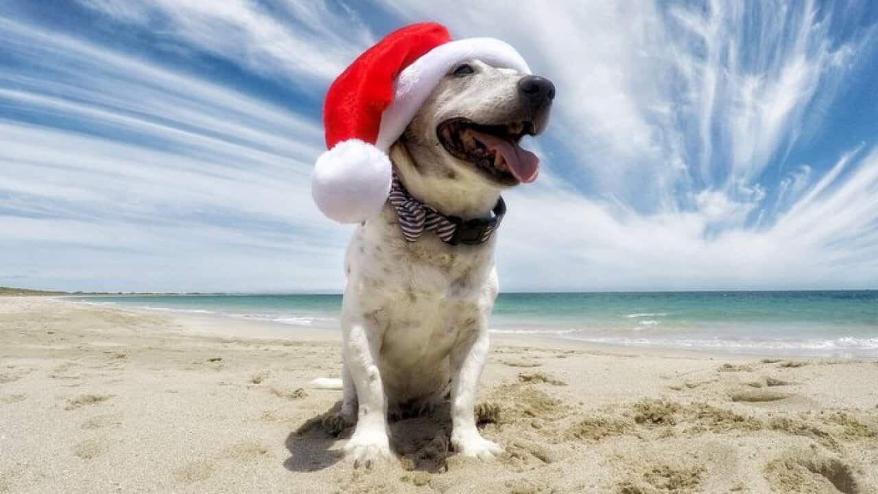 Image for read more article ''