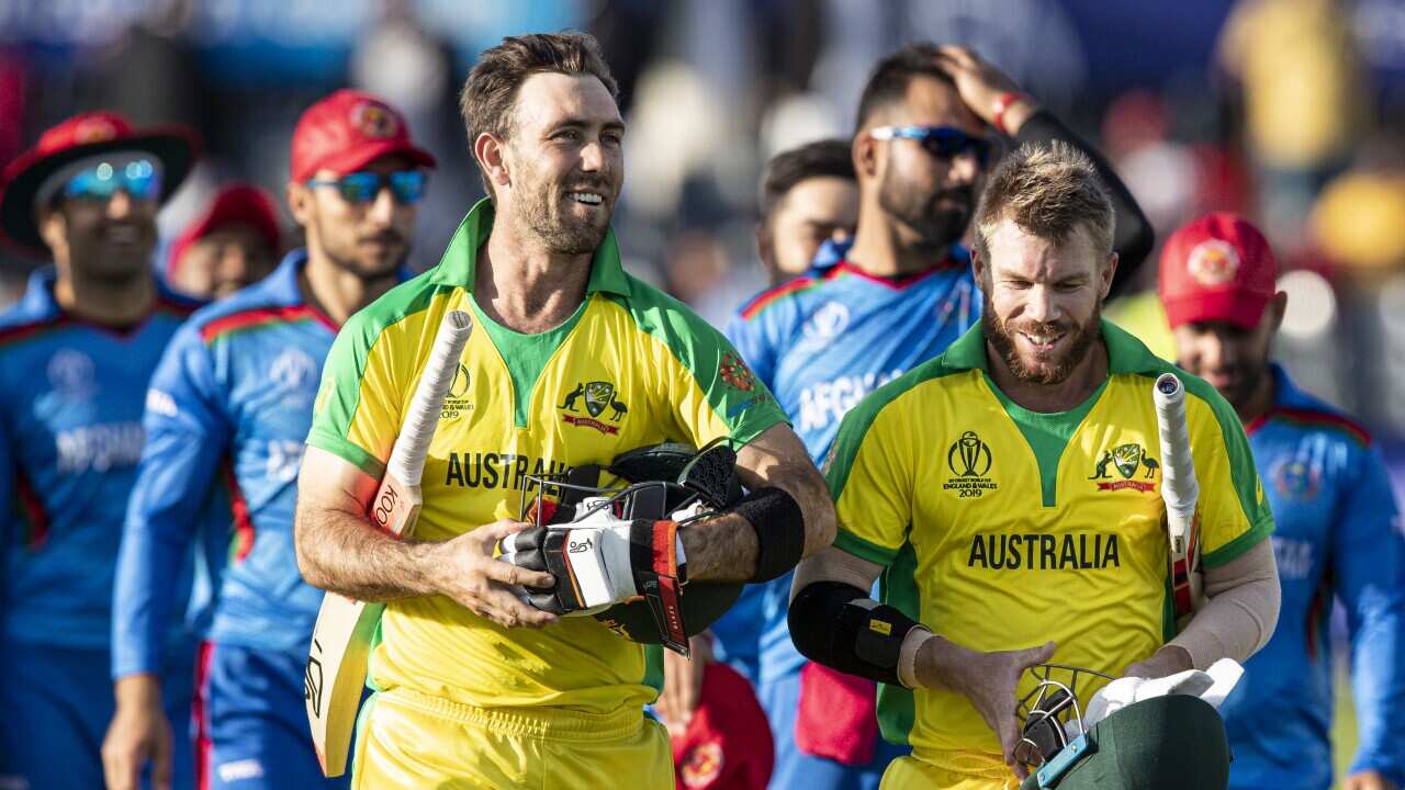 Glenn Maxwell and David Warner.