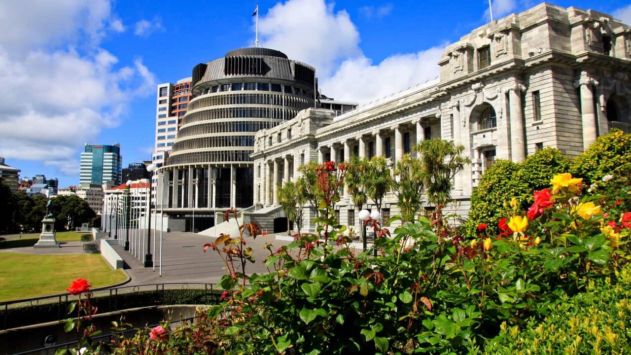 The Beehive & Parliament Buildings with spring roses in foreground, Wellington
