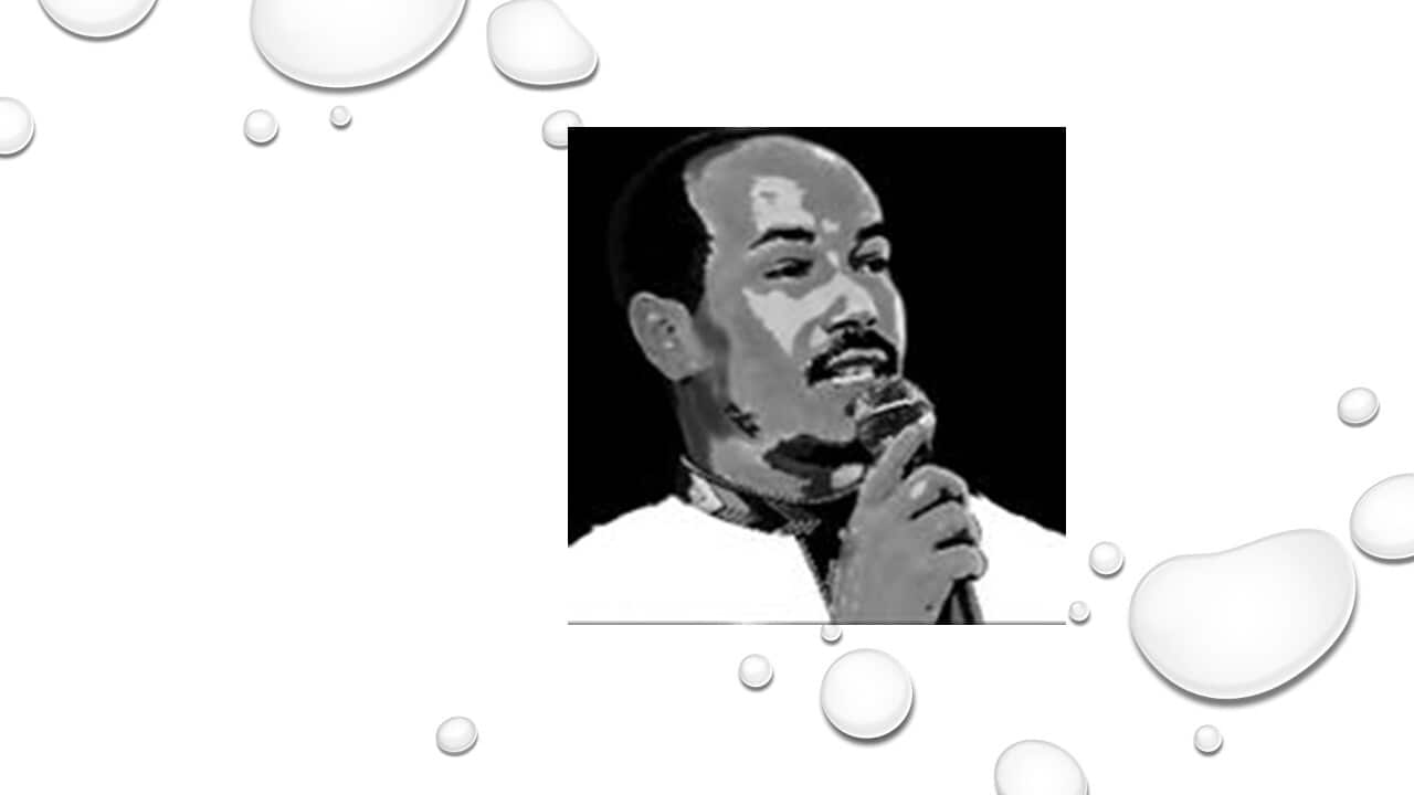 Journalist Demeke Kebede