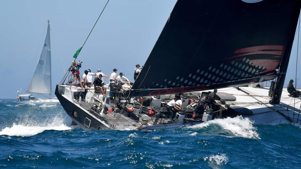 The crew of Andoo Comanche can be seen on the vessel as it navigates the choppy waters in Sydney Harbour.