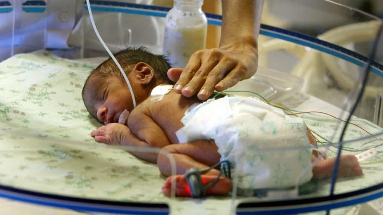 newborn