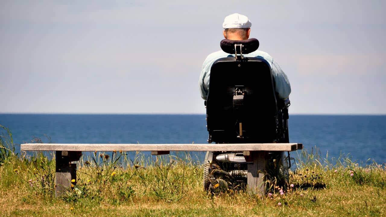 Man in wheelchair overlooks the sea.