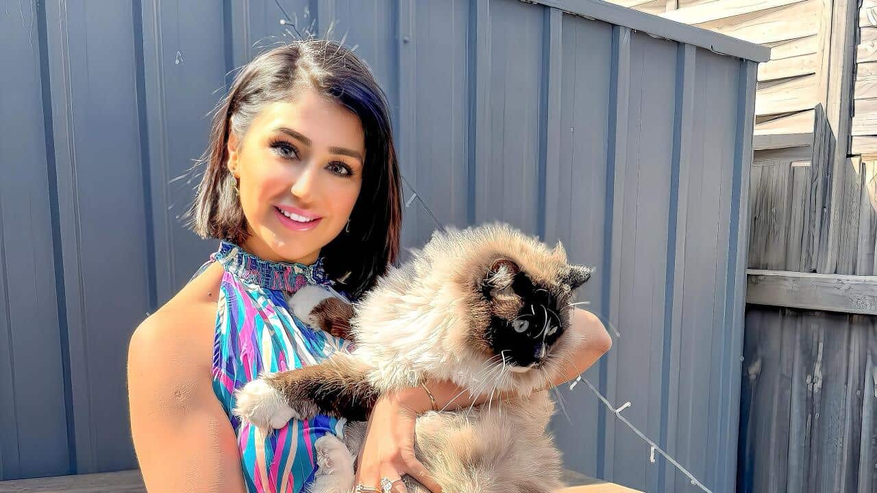 Image for read more article 'READ MORE'