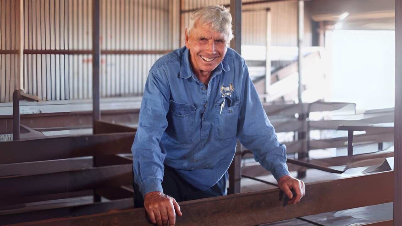 Sheep farmer Peter Boyle in the new federal seat of Bullwinkel says live sheep exports is a key issue he is watching closely_photo credit_Christopher Tan_SBS.jpg