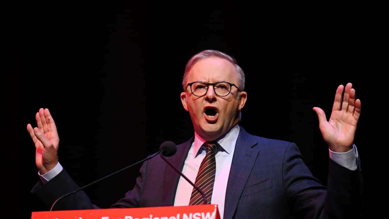 ANTHONY ALBANESE NSW LABOR COUNTRY CONFERENCE