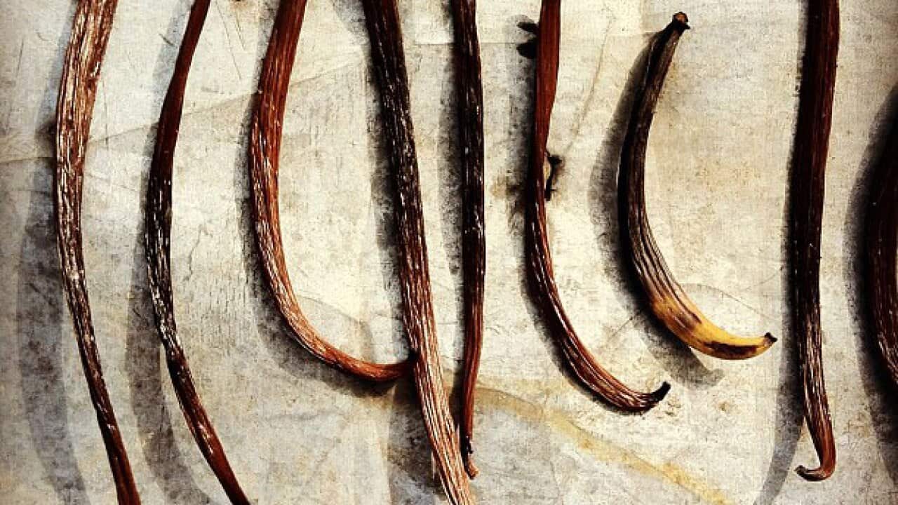 Why vanilla beans are so insanely expensive and are they worth it
