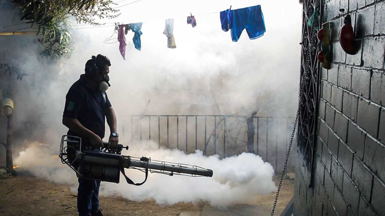A worker fumigates a house´s yard in Soyapango