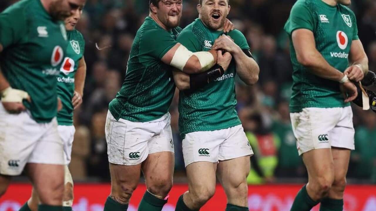 Ireland celebrate beating New Zealand.