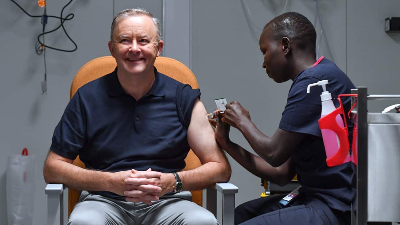 Opposition leader Anthony Albanese receives Covid-19 vaccine