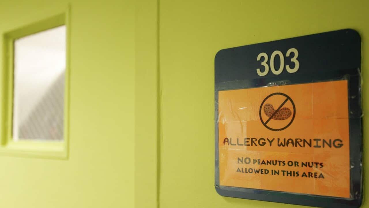 Peanuts and Nuts Banned at School