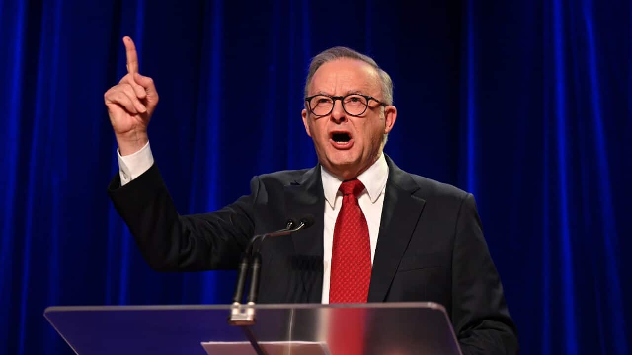 ELECTION25 ANTHONY ALBANESE CAMPAIGN