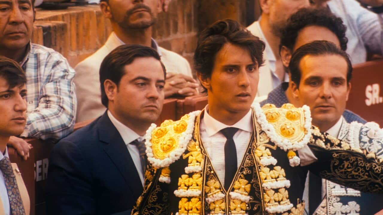 Afternoons of Solitude_key still 1.jpg