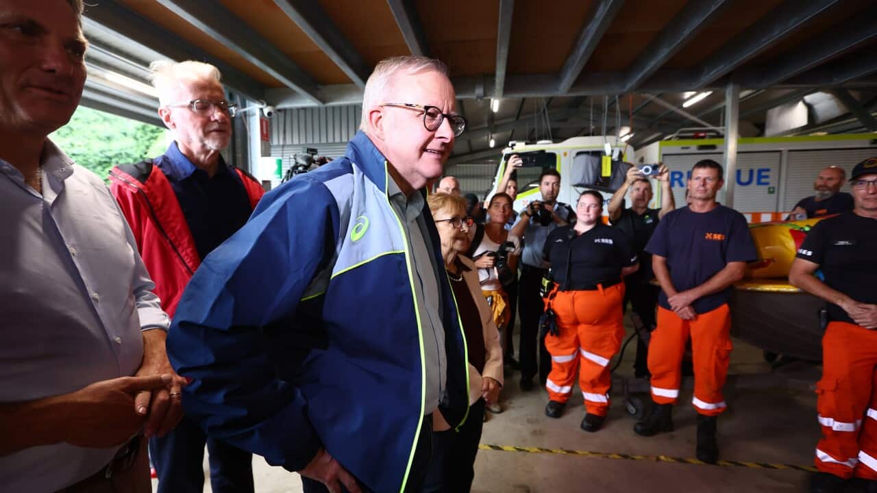 ANTHONY ALBANESE CYCLONE ALFRED