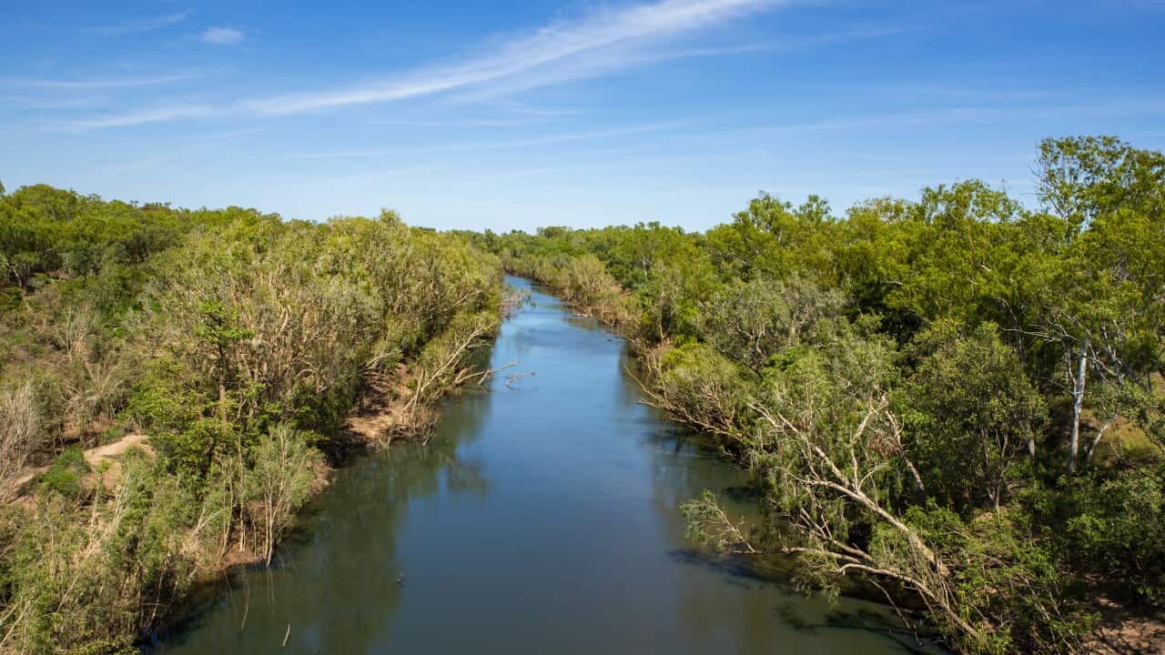 Image for read more article 'READ MORE'