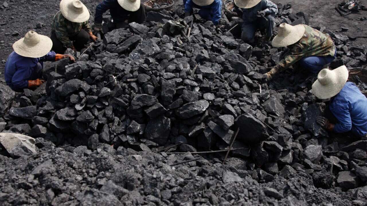 Women workers pick coal at a dump site of a coal