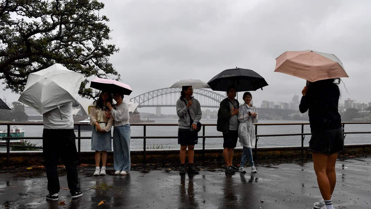 SYDNEY WET WEATHER