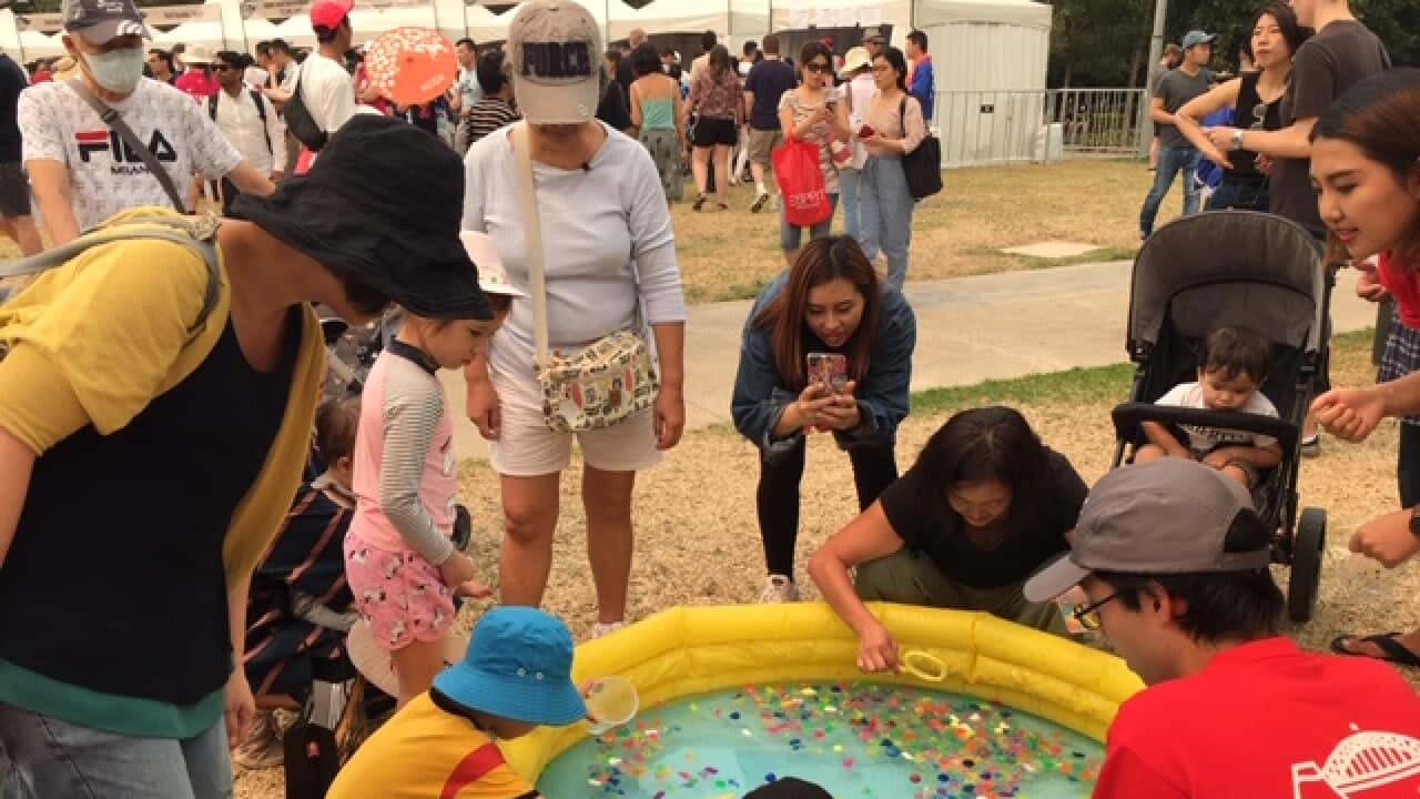 Matsuri Japan festival 2019 at Tumbarong Park, Darling Harbour on Sat 7 Dec 2019 (Photo by K. Chalker)