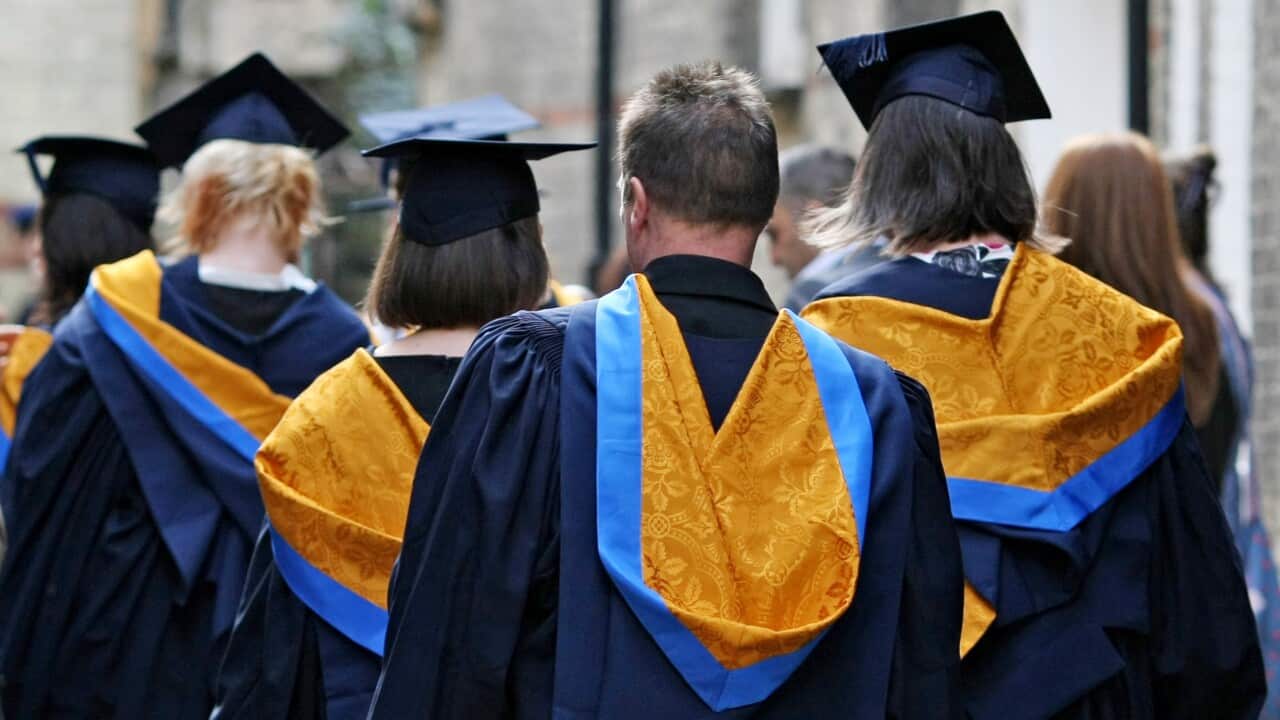 A group of university graduates wearing gowns and mortarboards seen from behind.
