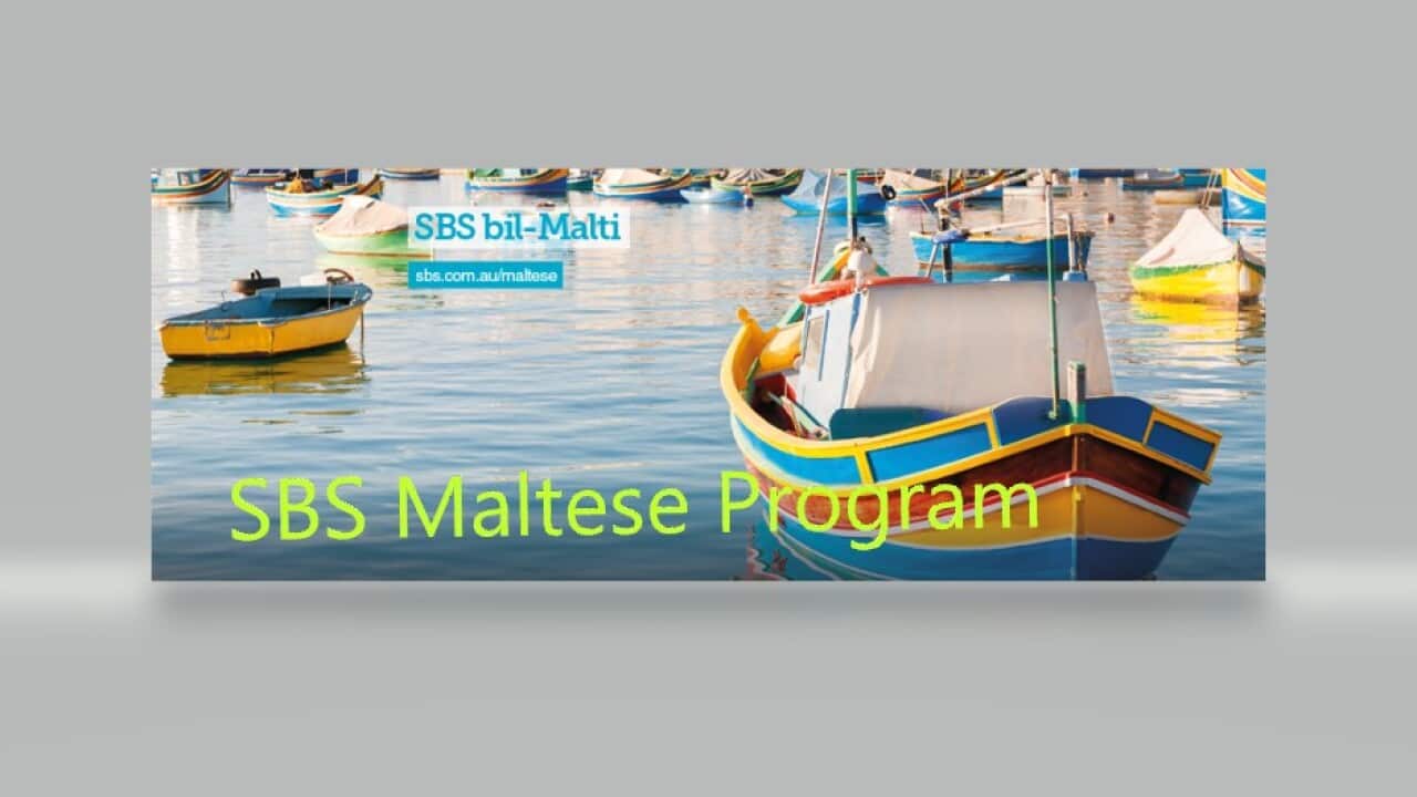 SBS Malt Prog 4.jpg